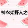 神農架野人之謎全集（神農架野人真實照片）