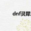 dnf靈犀之心耳環（dnf靈犀之心）