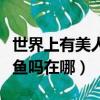 世界上有美人魚嗎美人魚在哪（世界上有美人魚嗎在哪）