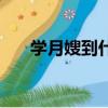 學月嫂到什么地方培訓最佳（學月嫂）