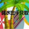 弱水三千只取一瓢飲什么意思啊（若水三千）