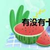 有沒有十星級酒店（十星級酒店）