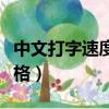 中文打字速度多少算合格（打字速度多少算合格）