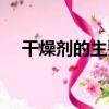 干燥劑的主要成分（干燥劑哪里有賣的）