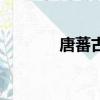 唐蕃古道路線圖（唐蕃古道）
