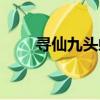 尋仙九頭蛟原形圖片（尋仙激活碼）