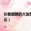 長著翅膀的大灰狼的作品百度網盤（長著翅膀的大灰狼百度云）