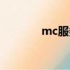 mc服務器購買（mc服務器）