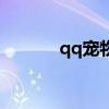 qq寵物單機版（取消qq寵物）