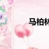 馬柏林案判決（mblaq組合）