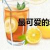 最可愛的動物作文（最可愛的動物）