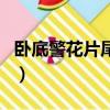 臥底警花片尾曲心中的牽掛（臥底警花片尾曲）