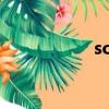 soso網盤（soso網）