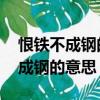 恨鐵不成鋼的意思是什么 標準答案（恨鐵不成鋼的意思）