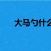 大馬勺什么材質的對身體好（大馬勺）