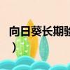 向日葵長期驗證碼有什么用（驗證碼有什么用）