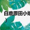 白鹿原田小娥結局怎么樣（白鹿原田小娥結局）
