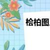 檜柏圖片大全大圖（檜柏讀音）