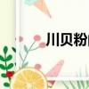川貝粉的作用與功效（川貝粉）