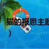 貓的報恩主題曲梁靜茹翻唱（貓的報恩主題曲）