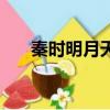 秦時明月天明的身世（秦時明月天明）