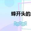 蜂開頭的成語接龍（蜂開頭的成語）