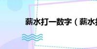 薪水打一數字(薪水打一生肖)