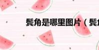 鬢角是哪里圖片(鬢角是哪里)
