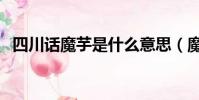 四川話魔芋是什么意思(魔芋是什么意思)