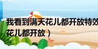 我看到滿天花兒都開放特效原版(我看到滿天花兒都開放)