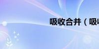 吸收合并(吸收)
