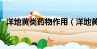 洋地黃類藥物作用(洋地黃類藥物有哪些)