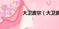 大衛皮爾(大衛皮薩羅)