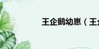 王企鵝幼崽(王企鵝)