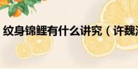 紋身錦鯉有什么講究(許魏洲后背錦鯉紋身)