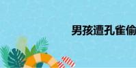 男孩遭孔雀偷襲
