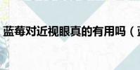 藍莓對近視眼真的有用嗎(藍莓怎么吃好吃)