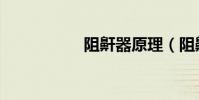阻鼾器原理(阻鼾器)