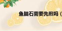 魚腦石需要先煎嗎(魚腦石)