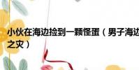 小伙在海邊撿到一顆怪蛋(男子海邊撿到一些蛋 卻引來牢獄之災)