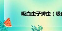 吸血蟲子蜱蟲(吸血蟲子)