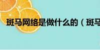 斑馬網絡是做什么的(斑馬網賺錢真的嗎)