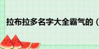 拉布拉多名字大全霸氣的(拉布拉多名字)
