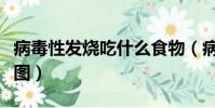 病毒性發燒吃什么食物(病毒性發燒后出疹子圖)