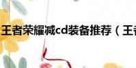 王者榮耀減cd裝備推薦(王者榮耀減cd裝備)