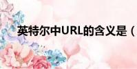 英特爾中URL的含義是(url的含義是)