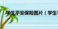 學生平安保險圖片(學生平安保險查詢)