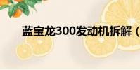 藍寶龍300發動機拆解(藍寶龍300)