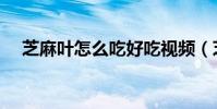 芝麻葉怎么吃好吃視頻(芝麻葉怎么吃)