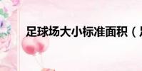 足球場大小標準面積(足球場大小)